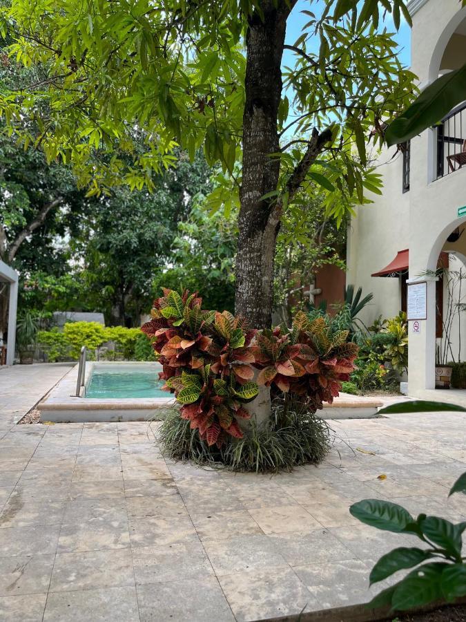 Casa Valladolid Boutique Hotel Екстериор снимка